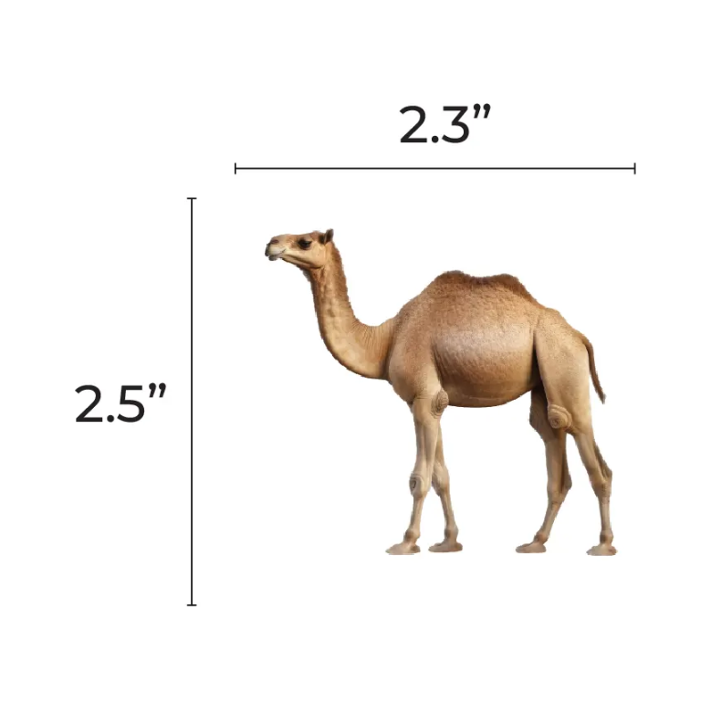 Camel Cutouts 2.5-inch 20/pk