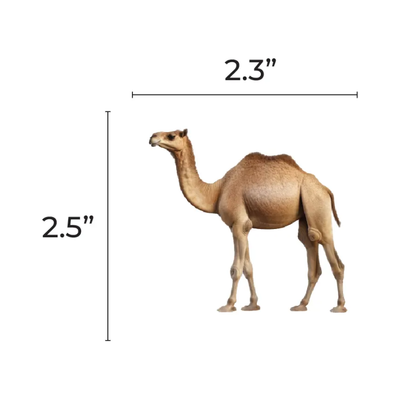 Camel Cutouts 2.5-inch 20/pk