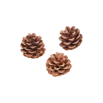 Natural Pinecones 2 1/2" 12/pk