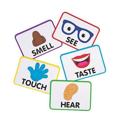 Jumbo Five Senses Magnets 5/pk