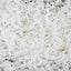 Shred Paper 2oz