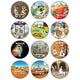 Makos Stickers Round 32mm Color Print 10/pk