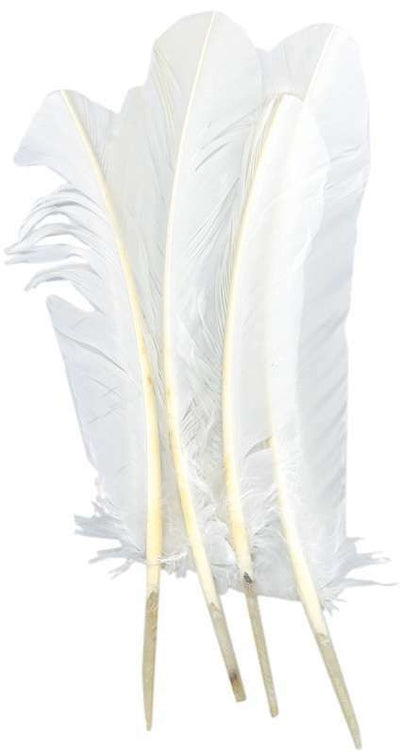 Feather round 12"-13" white 4pcs (closeout)