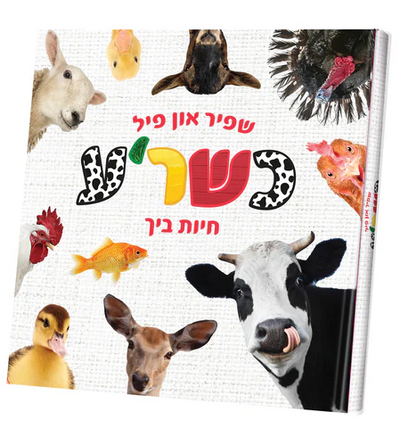 My First Touch and Feel Animal Book Yiddish