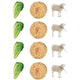 Pesach, Matzah & Maror Stickers Round 32mm Color Print 10/pk