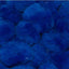 Pom Poms (Hot Pink, 3/4", 100 Pack)