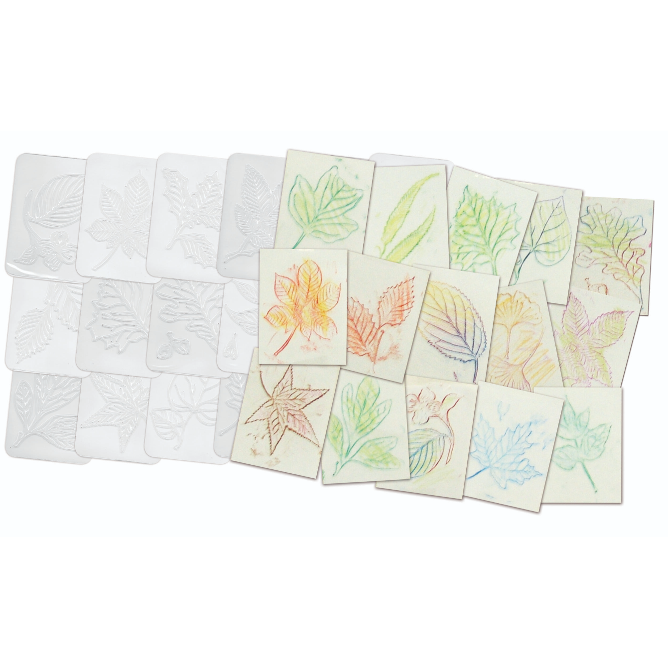Leaf Rubbing Plates 16/pk