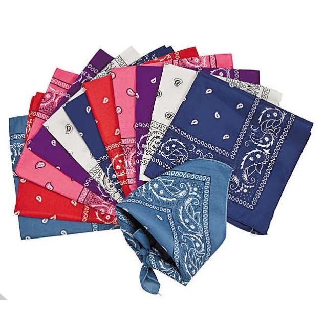 Western Bandana Assortment 48/pk 19"