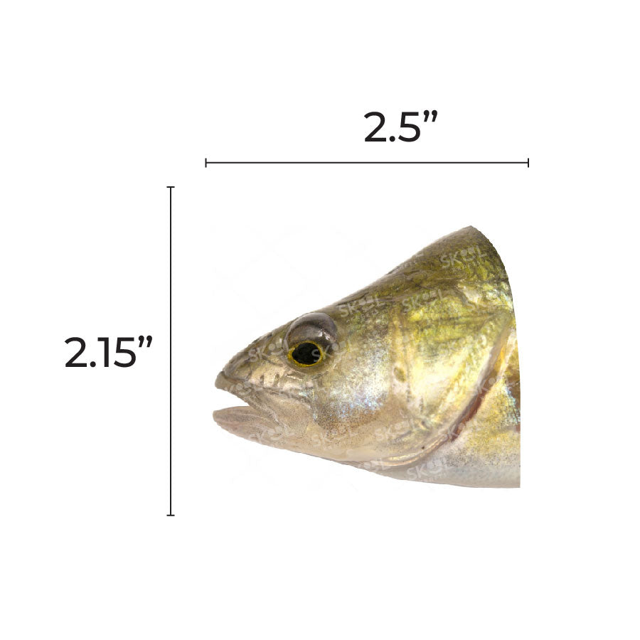 Fish Head 2.5-inch 20/pk