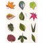 Leaves Stickers 1 1/2" (10 Sheets)