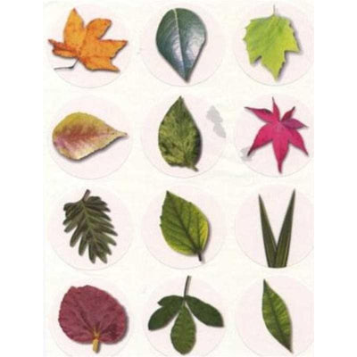 Leaves Stickers 1 1/2" (10 Sheets)