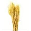 4oz Natural Barley