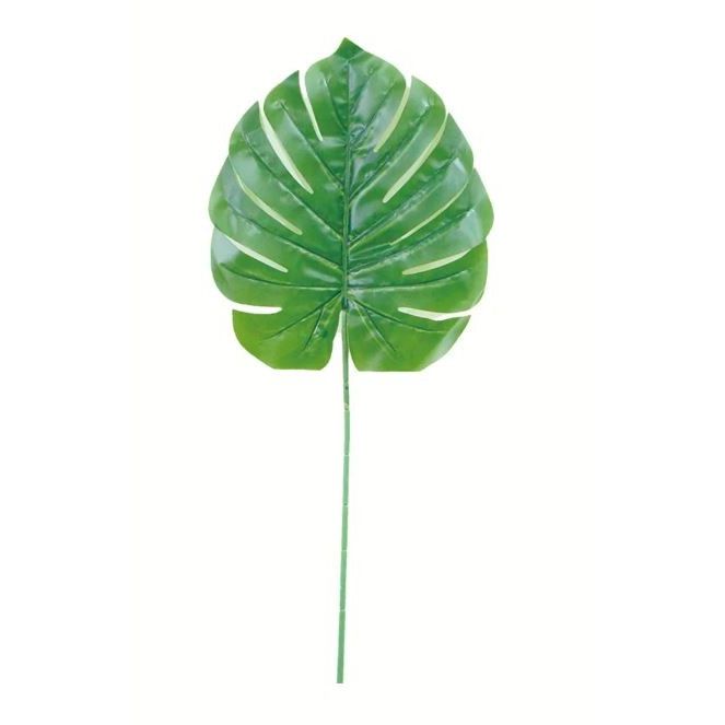 Green Long Leaf 24" 1/pk