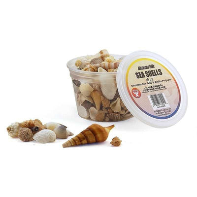 Bucket O` Sea Shells (Natural Mix, 16 Oz.)