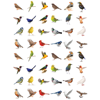 Assorted Bird Stickers 3/4" Round 19mm Color Print 10/pk