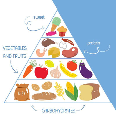 Food pyramid poster - blue and white 18X24.
