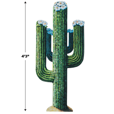 Jointed Cactus 4' 3"