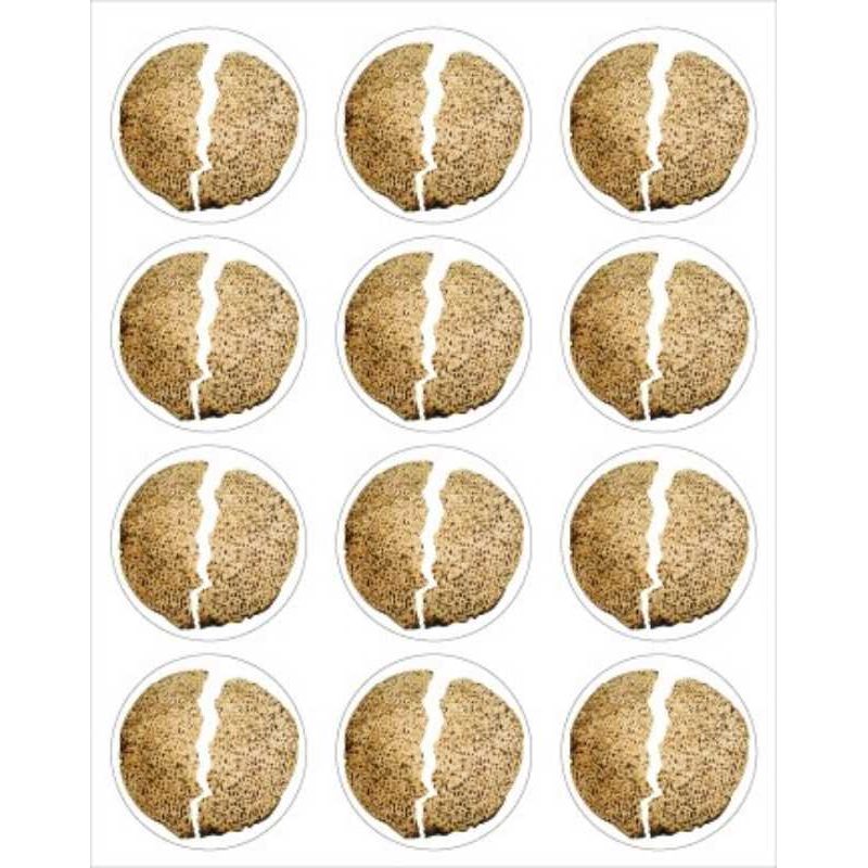 Broken Matzah Stickers 6 Sheets (discontinued)