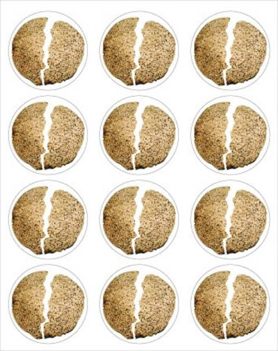 Broken Matzah Stickers 6 Sheets (discontinued)