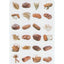 Bread Hamotzi Assortment Stickers (10 Sheets)