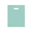 Frosted Bags (12" x 15", Aqua, 250 Pack)