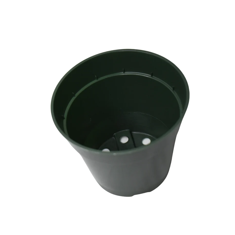 Flower Pot 1 pc (Green, 3.5")