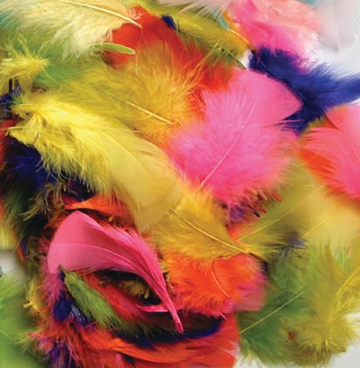 TURKEY PLUMAGE Feathers