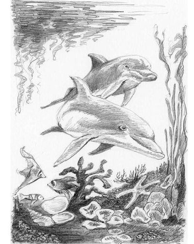 Mini Sketching Kit Dolphins