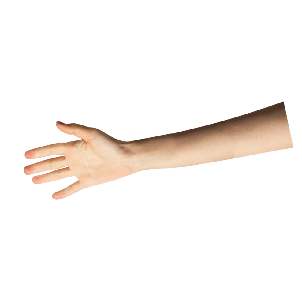 Hand Cutout 5.5-inch 20/pk