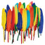 DUck Quills Feathers 14gr