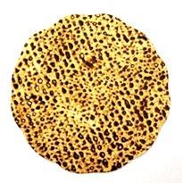 Matzah Cutout 3" w/Glitter 20/pcs. (discontinued)