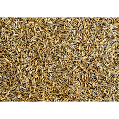 Grass Seeds Sun and Shade Mix 1 lb.