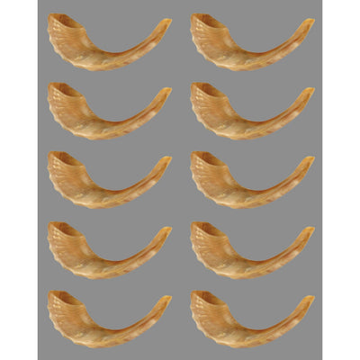 Shofer Stickers 6 sheets
