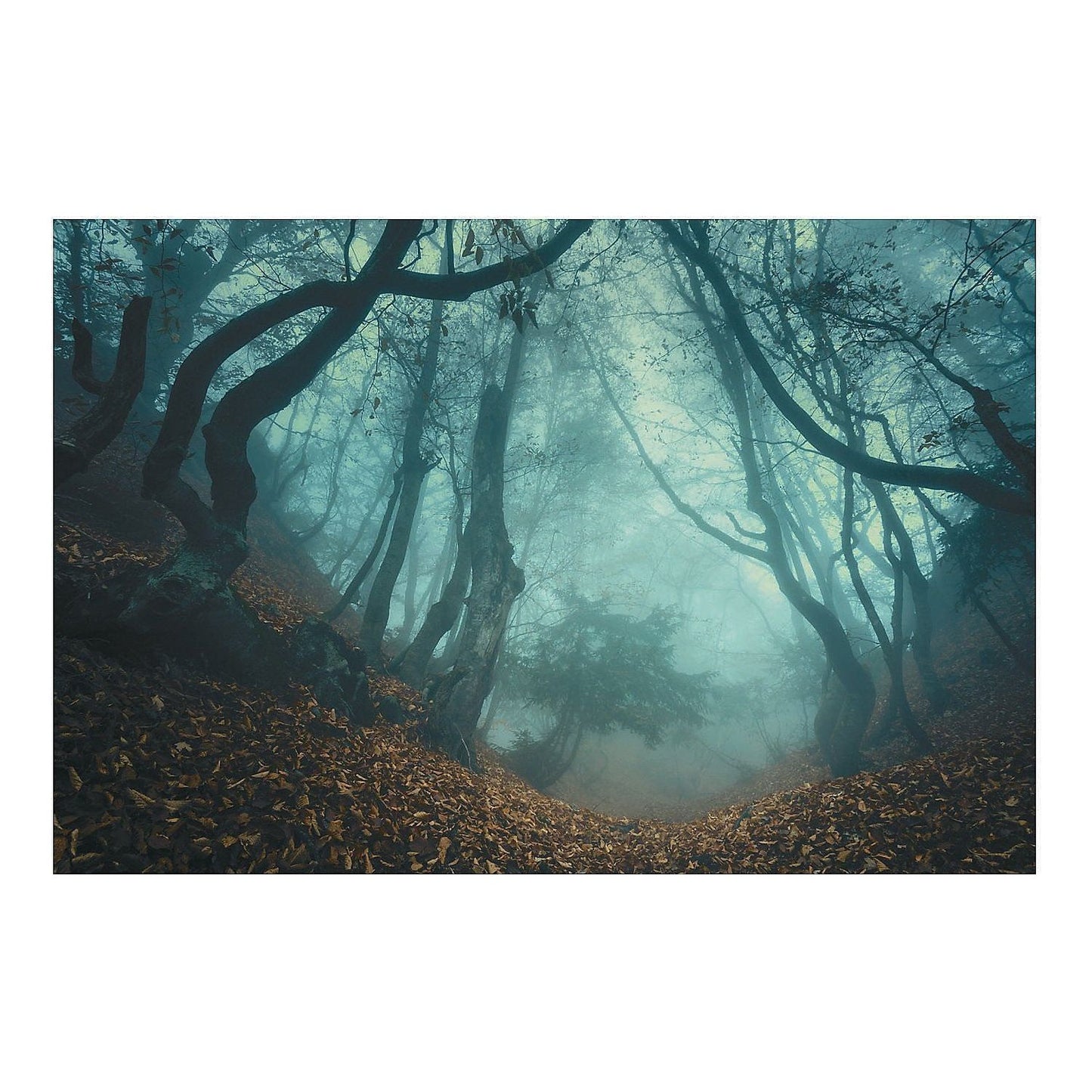 Forest Backdrop , 9 Ft. x 6 Ft. 1Pc.