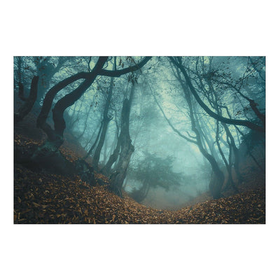 Forest Backdrop , 9 Ft. x 6 Ft. 1Pc.