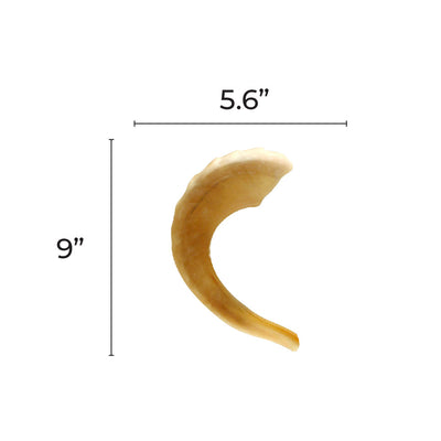 Shofar Sides Cutout 9-inch 20/pk