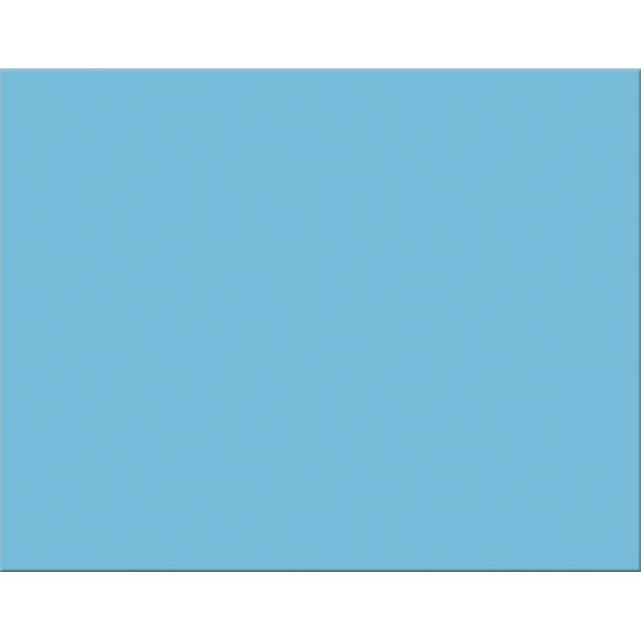 Poster Board 22" x 28" (Lt Blue, 100 Pack)