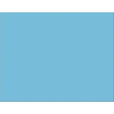 Poster Board 22" x 28" (Lt Blue, 100 Pack)