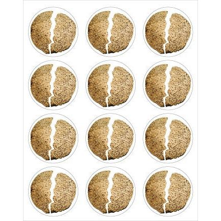 Broken Matzah Stickers 6 Sheets (discontinued)