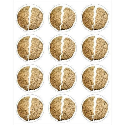 Broken Matzah Stickers 6 Sheets (discontinued)