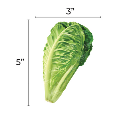 Paper Cutout Lettuce 5" 20/pk