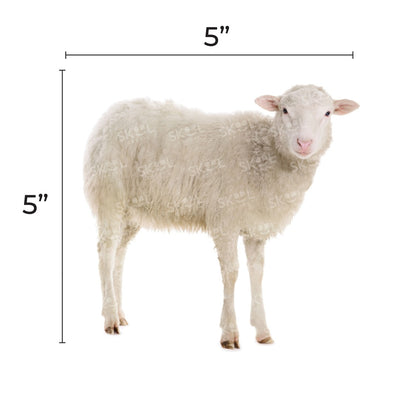 Sheep Cutout 5" x 5" 20/PK
