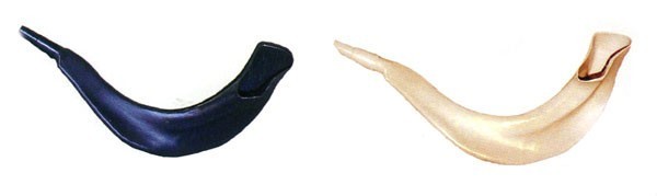 Real Looking Plastic Shofar