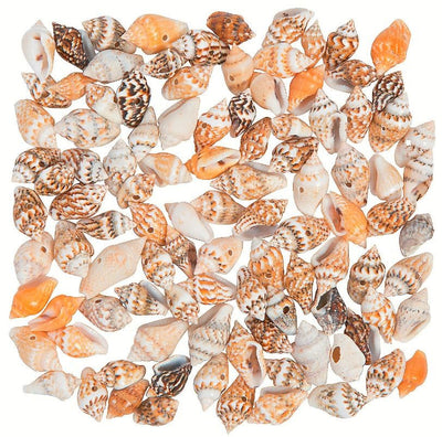 Mini Shell Beads 114/pk 5-8mm