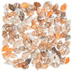 Mini Shell Beads 114/pk 5-8mm