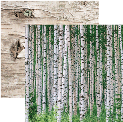 Birch Wood Designed Paper