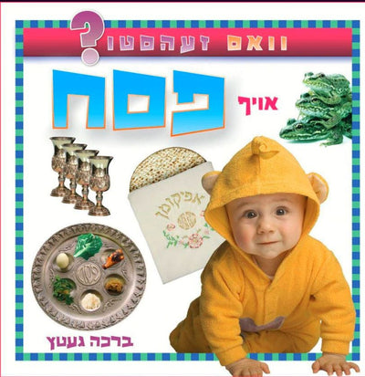 What Do You See on Pesach book English