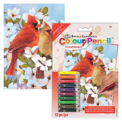 Pair of Cardinals Mini Color Pencil by Number