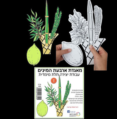Arba Minim Sukkahs Crafts 36/pk