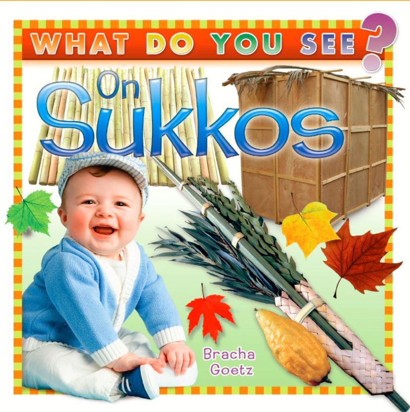 What Do You See on Sukkos book